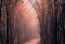 世界杯外围官网 -媒(méi)体發(fā)稿媒(méi)介(jiè)推荐（权威推荐）