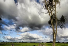 手机外围下载 -南网科技招标结果：2026年智慧管理单元定制化生产框架采购中标公告