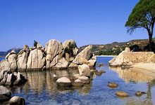 手机外围下载 -南网科技招标结果：2026年智慧管理单元定制化生产框架采购中标公告